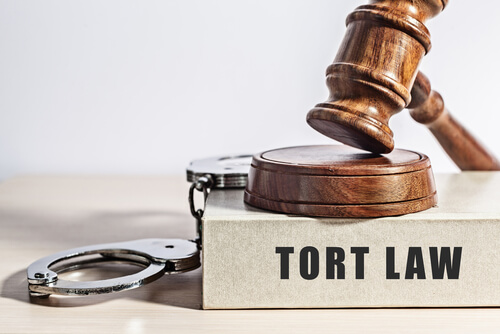 civil tort lawsuit