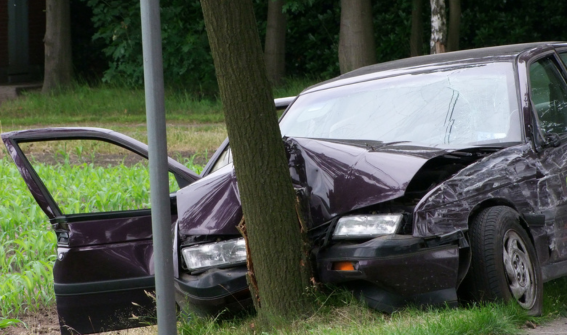 a car crashed into a tree